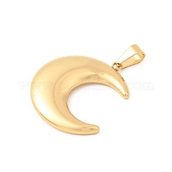 Pendentifs en acier inoxydable 304&nbsp;STAS-C163-05C-G