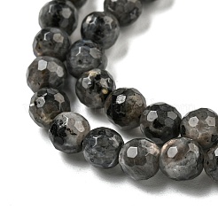 Brins de perles de larvikite naturelles&nbsp;G-E571-A09-01