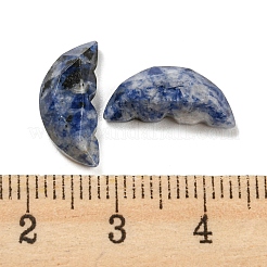 Natürliche blaue Fleckjaspis-Schmetterlingsflügel-Cabochons&nbsp;G-D078-02C