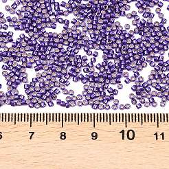 Miyuki Delica Perlen&nbsp;X-SEED-J020-DB2510