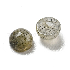 Natur Labradorit Cabochons&nbsp;G-Q173-01A-15