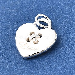 Encantos de plata 925 esterlina&nbsp;STER-Q003-01H-S