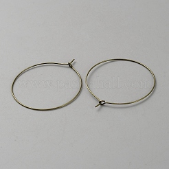Risultati dell'orecchino a cerchio in ferro&nbsp;FIND-WH0148-123A