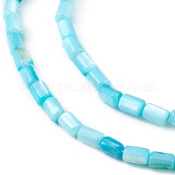 Hebras de cuentas teñidas de concha natural de agua dulce&nbsp;SHEL-M018-12-05