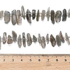 Natur Labradorit Perlen Stränge&nbsp;G-Z124-C01-01