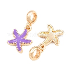 Legierung Emaille europäische baumeln Charms&nbsp;AL-CBAC2D3-02G-02