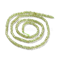 Natürlichen Peridot Perlen Stränge&nbsp;G-K312-07A