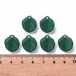 Pendentifs acryliques mats transparents&nbsp;MACR-S371-02A-735
