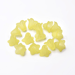 Perles en acrylique transparente&nbsp;X-PLF018-19