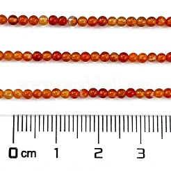 Fili di perline agata rosso naturale&nbsp;G-M438-A10-02