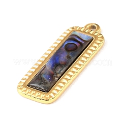Pendenti shell paua&nbsp;SSHEL-B145-01D-G