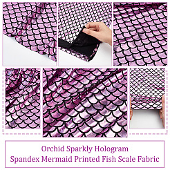 Funkelnder Spandex-Meerjungfrau-bedruckter Fischschuppenstoff mit Hologramm&nbsp;AJEW-WH0001-44