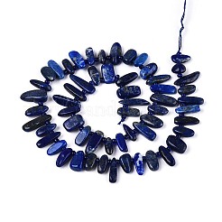 Natürlicher Lapislazuli Perlenstränge&nbsp;G-Z091-A23