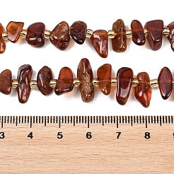 Hilos de perlas de granate naranja natural&nbsp;G-P619-A03-01