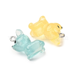 Leuchtende transparente Harzanhänger&nbsp;RESI-Z043-02P