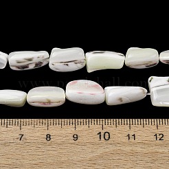 Chapelets de perles de coquille de trochid / trochus coquille&nbsp;SH-CBA2978-20B