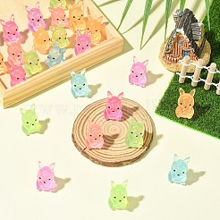 60 pezzo di ornamenti in miniatura di canguro luminoso a 6 colori&nbsp;DJEW-CJZ0001-003