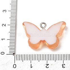 Transparente Harzanhänger&nbsp;RE-CBA5B90-03A