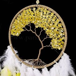 Toile/filet tissé en fer avec des décorations de pendentifs en plumes&nbsp;AJEW-B017-12