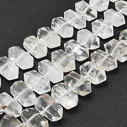 Chapelets de perles en cristal de quartz naturel, facette, pointu/puce à double terminaison, 20~31x12~14x10~13mm, Trou: 1.8mm, Environ 23~24 pcs/chapelet, 15.55 pouce (39.5 cm)