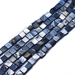 Eau douce naturelle de coquillage perles brins, teinte, carrée, bleu de Prusse, 8~9x8~9x3~4mm, Trou: 1mm, Environ 49 pcs/chapelet, 15.3 pouce