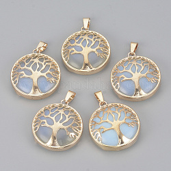 Opalite Pendants, with Brass Findings, Flat Round with Tree of Life, Golden, 30.5x27x8mm, Hole: 7x3mm