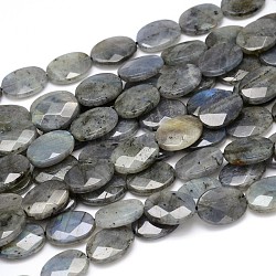 Chapelets de perles en labradorite naturelle, facette, ovale, 18x13x5mm, Trou: 1mm, Environ 22 pcs/chapelet, 16 pouce