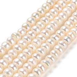 Hebras de perlas de agua dulce cultivadas naturales, grado 2 un, rerondana plana, crema, 5~5.5x4~4.5mm, agujero: 0.8 mm, aproximamente 80~88 pcs / cadena, 14.37~14.57 pulgada (36.5~37 cm)