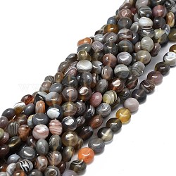 Chapelets de perles en agate naturelle du Botswana, plat rond, 8x4~5mm, Trou: 1mm, Environ 51 pcs/chapelet, 15.55'' (39.5 cm)