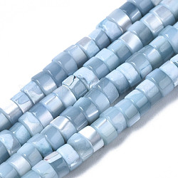 Hebras de cuentas de concha de trochus natural, teñido, Disco redondo plano, abalorios heishi, azul acero claro, 4x2mm, agujero: 0.8 mm, aproximamente 154~160 pcs / cadena, 14.96~15.75 pulgada (38~40 cm)