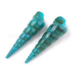 Спиральные бусины из ракушек, скорлупа туррителлы, нет отверстий / незавершенного, окрашеные, зелено-синие, 32~75x9~18x9~18 мм