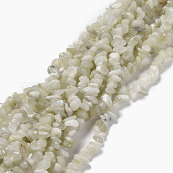 Blancos chips piedra lunar hebras de perlas naturales, 5~8x5~8mm, agujero: 1 mm, alrededor de 31.5 pulgada