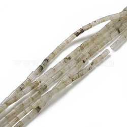 Chapelets de perles en labradorite naturelle , colonne, 4.3~5.6x2.3~2.5mm, Trou: 0.9mm, Environ 82~86 pcs/chapelet, 14.96~17.71 pouce (38~45 cm)