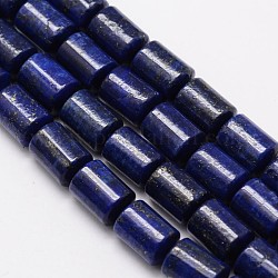 Lapis lazuli naturelles colonne brins de perles, teinte, 12x8mm, Trou: 1mm, Environ 32 pcs/chapelet, 15.1 pouce