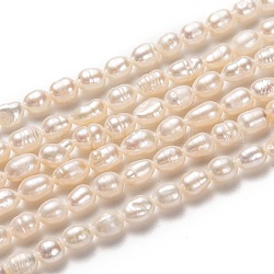 Fili di perle di perle d'acqua dolce coltivate naturali, riso, bisque, 5~7x4~5mm, Foro: 0.5 mm, circa 56~66pcs/filo, 14.57 pollice (37 cm)