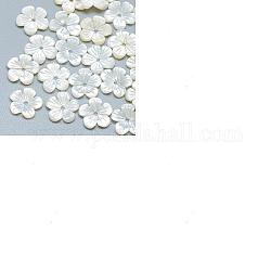 Perles en coquillage naturel, fleur, couleur de coquillage, 10x10x2mm, Trou: 1mm