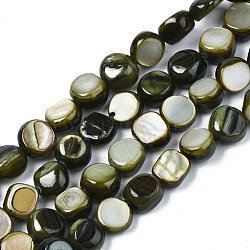 Chapelets de perles de coquille de trochid / trochus coquille, teinte, plat rond, vert olive foncé, 5~9x1~6mm, Trou: 0.8mm, Environ 49~50 pcs/chapelet, 15.16 pouce ~ 15.87 pouces (38.5 cm ~ 40.3 cm)