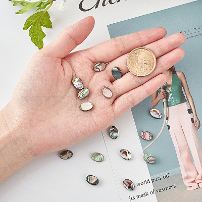 Geschäft Benecreat 30 Packungen natürliche Abalone-Muschel ovale