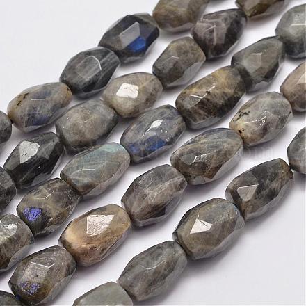 Natural Labradorite Beads Strands G-D803-65-1