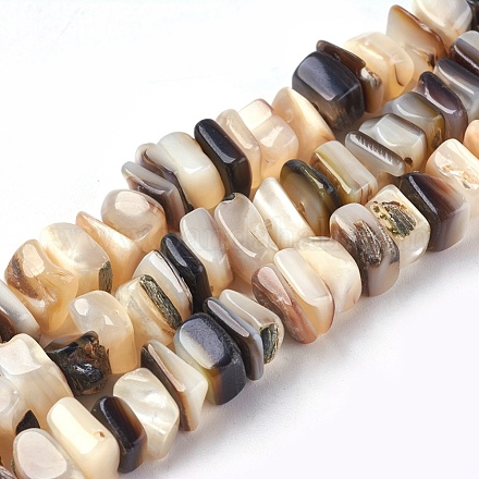 Chapelets de perles en coquille d'eau douce  X-BSHE-O017-09-1
