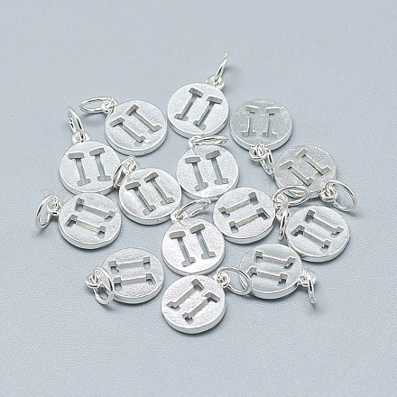 925 Sterling Silver Charms STER-T002-44S-03-1