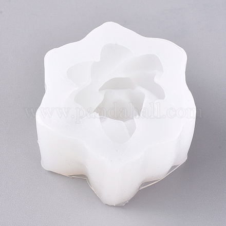 Moldes de silicona DIY-WH0157-66A-1
