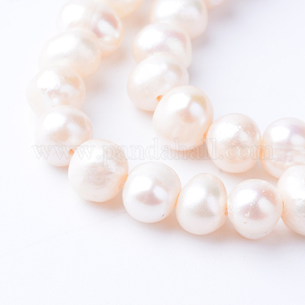 Natural Cultured Freshwater Pearl Beads Strands PEAR-S010-48-1