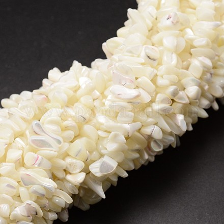 Chapelets de perles de coquille de trochid / trochus coquille SSHEL-K014-07-1