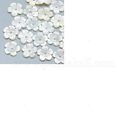 Shell perle naturali SHEL-CJ0001-12-1