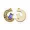 Alloy Printed Pendants, Cadmium Free & Nickel Free & Lead Free, Moon With Owl, Light Khaki, 20.5x16x1.5mm, Hole: 1.5mm