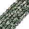 Natural Green Spot Jasper Beads Strands, Nuggets, Tumbled Stone, 8~11x8~11x5~7mm, Hole: 1mm, about 45pcs/strand, 15.75''(40cm)