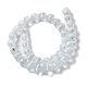 Chapelets de perles vernissées manuelles LAMP-K037-08I-2