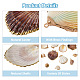 Craftdady 12Pcs 6 Style Shell Pendants DIY-CD0001-39-4