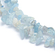 Natural Aquamarine Beads Strands G-P332-60-2